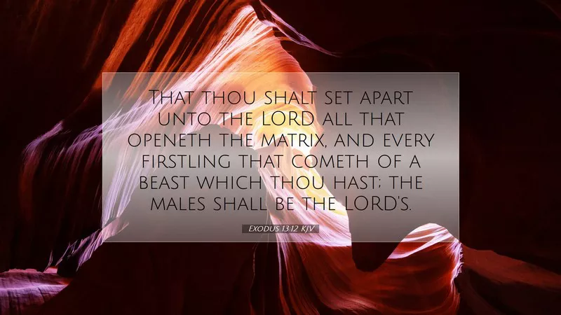 Exodus 13 12 Meaning Context Commentary Freebiblestudyhub exodus-13-12-meaning-context-commentary-freebiblestudyhub